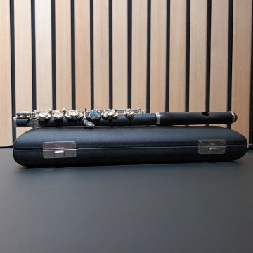 OTTAVINO PEARL 165E CON CUSTODIA USATO