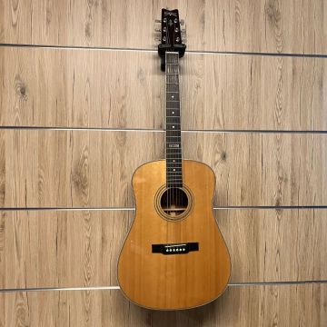 CHITARRA ACUSTICA WASHBURN D24SI USATO
