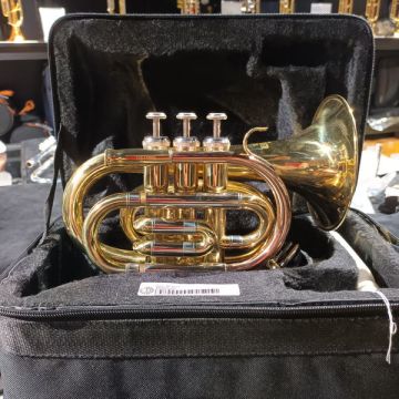 TROMBA POCKET ROY BENSON PT302 CON CUSTODIA USATA