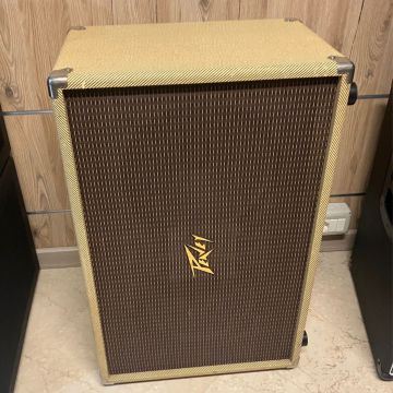 CASSA PEAVEY 2X2 TW