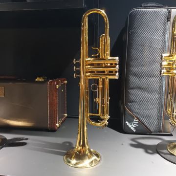 TROMBA SIB MUSLADY TR-100 USATA