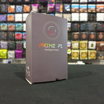 MULTIEFFETTO MOOER P1 USATO