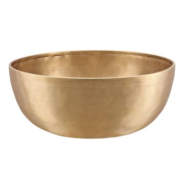 Ciotola Meinl Energy SB-E-2200 28,9cm 2200g