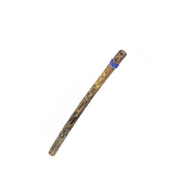 Terre' Rainmaker Cactus 25 mm