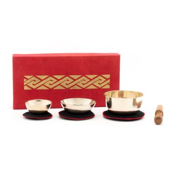 Klangschalen 5019-L Set Campane con cuscini battente scatola 3pz