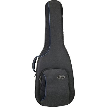 Reunion Blues CV Acoustic Case Small Body