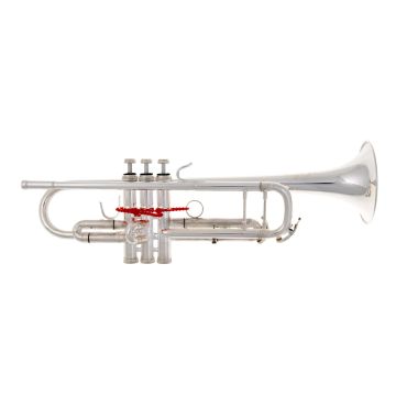 B&S 3137/2-S Challenger II argentata con custodia