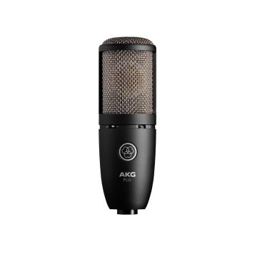 AKG PERCEPTION P220
