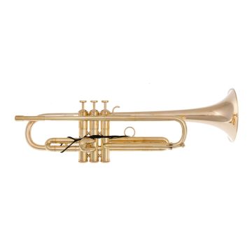 Adams A9 Custom Tromba ottone giallo grezzo con custodia 050