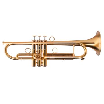 Tromba Sib Adams A1 V2 0,50 yellow brass satin gold laquered con borsa