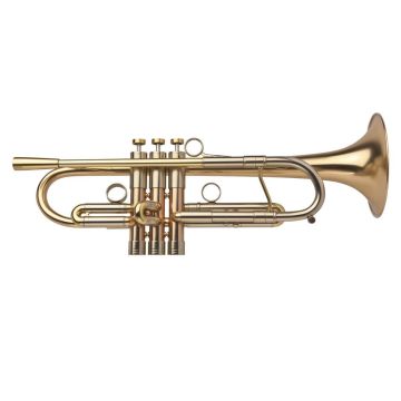 Tromba Sib Adams A4ML Custom 0,40 goldbrass satinata laccata con custodia