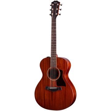 Taylor AD22E American Dream con custodia
