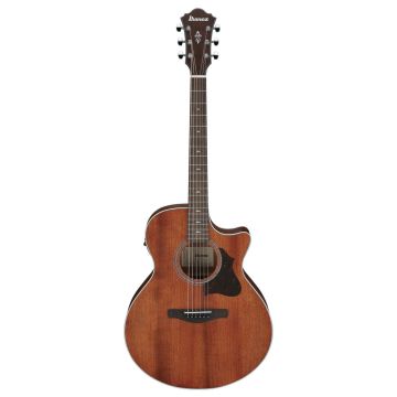 Ibanez AE140-OPN Open Pore Natural