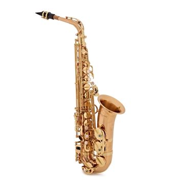 Yanagisawa A-WO2 Sax Alto Professional bronzo con custodia