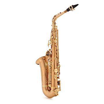Yanagisawa A-WO2 Sax Alto Professional bronzo con custodia