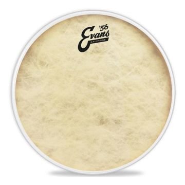 "Evans TT10C7 Calfotone pelle tom monostrato 10"" vintage"