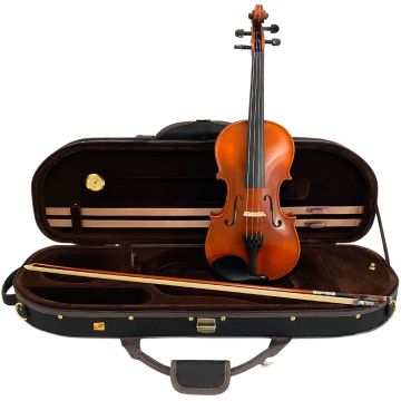 Violino 4/4 Yibo C abete