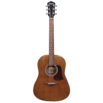 Camwood IW-240MNS CWE Chitarra Acustica Elettrificata natural