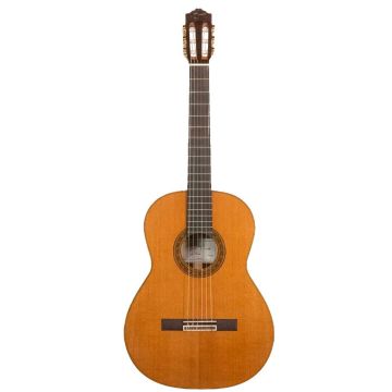 Jose' Torres JTC-200