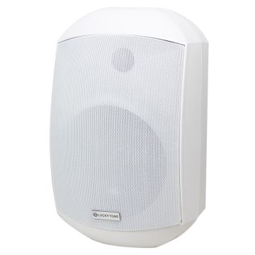 Diffusore Lucky Tone LWTP-880W 8ohm white