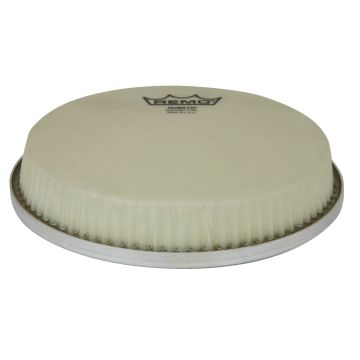 Pelle Bongo Remo Nuskyn (Small 7-1/4") – R-Series Low Collar