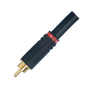 RCA maschio rosso Proel