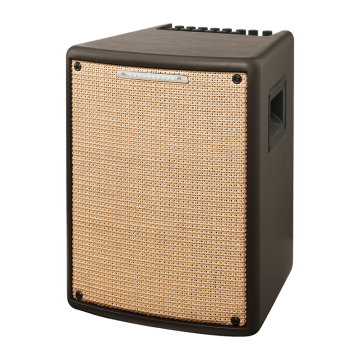 Ibanez T80 II Troubadour 80w