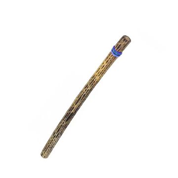 Terre' Rainmaker Cactus 50 mm