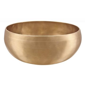 Meinl Sonic Energy SB-C-1000