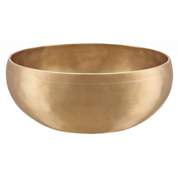 Meinl Sonic Energy SB-C-1500