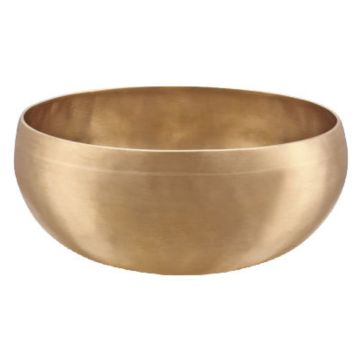 Meinl Sonic Energy SB-S-VF-1000