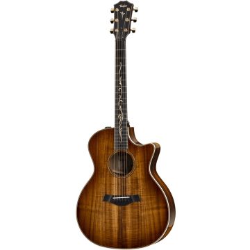 Taylor K24CE V-Class custodia