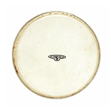 LP CP221B Pelle Bongo 7 1/4"