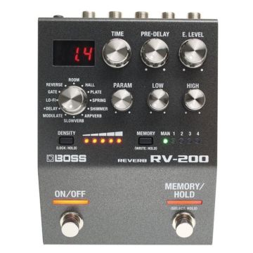 Boss RV-200