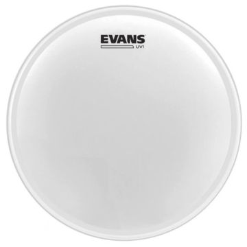 Pelle Evans 10" UV1 Coated