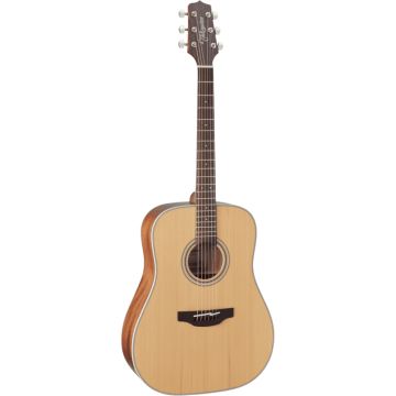 Takamine GD20-NS G-Series