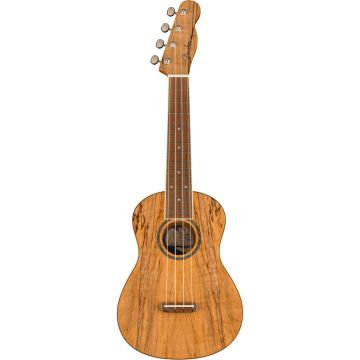 Fender Zuma Ukulele Concert Uke Spalted Maple