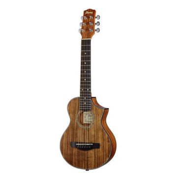 Chitarra Acustica Ibanez EWP14WB-OPN piccolo