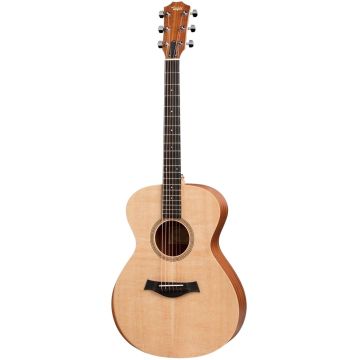 Taylor Academy 12E