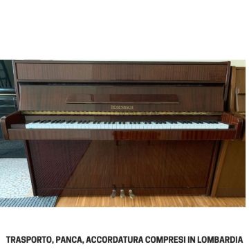 ROSENBACH NOCE USATO