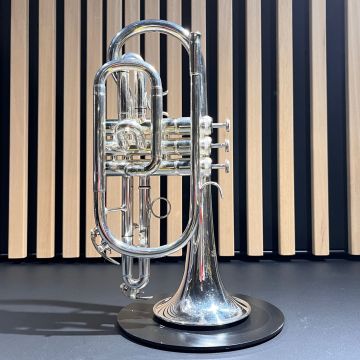 CORNETTA ROY BENSON CR202 SILVER+CUSTODIA USATA