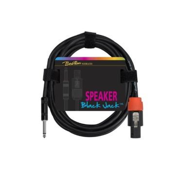 Cavo Jack/Speakon 1mt Boston SC-220-1