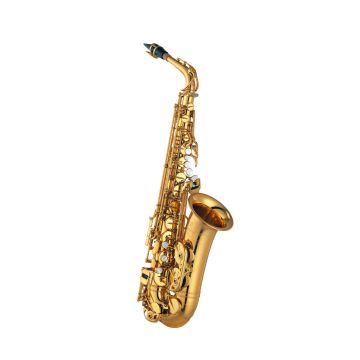 Yamaha YAS 875 EX