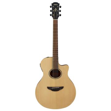 Yamaha APX 600M NS