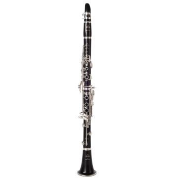 Buffet Crampon E13L BC1102L-2-0 Clarinetto Sib