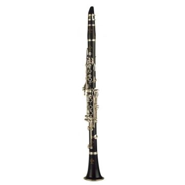Clarinetto Sib Buffet Crampon Festival BC1139LN-2-0P 