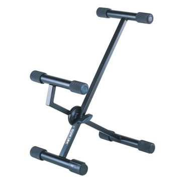 BS313