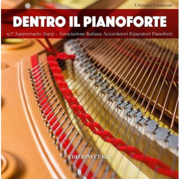 Cameroni Dentro il painoforte