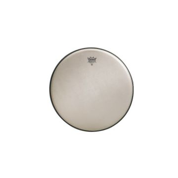 Remo RA-0008-SS