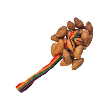 Terré Shaker con maniglia e semi tropicali Chacha Perù